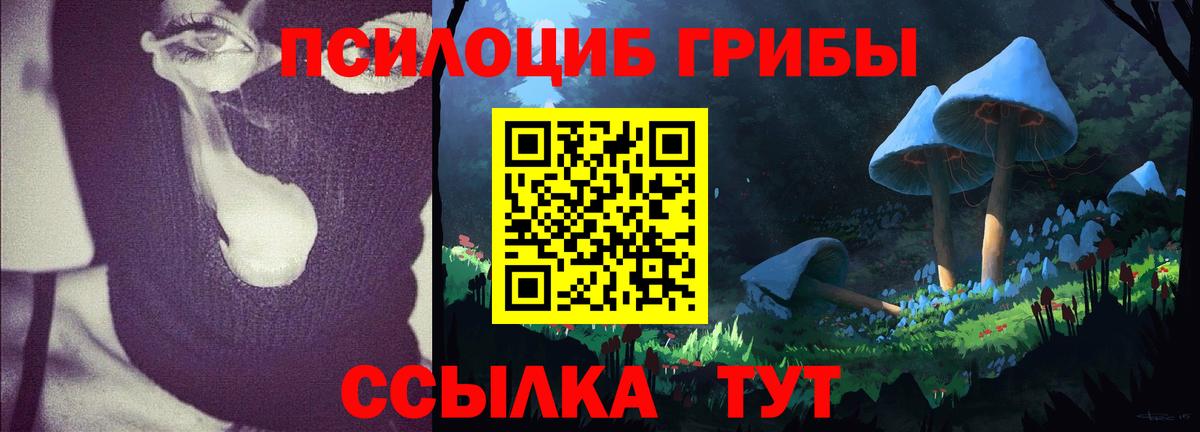 Галлюциногенные грибы Psilocybe  Вход с VPN  Избербаш 